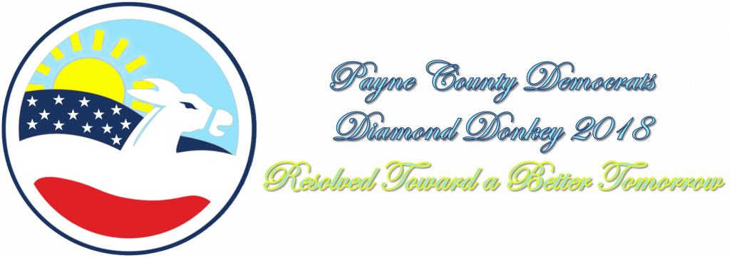 Diamond Donkey Puts Us In Position To Organize For - Graphic Design (1024x363), Png Download