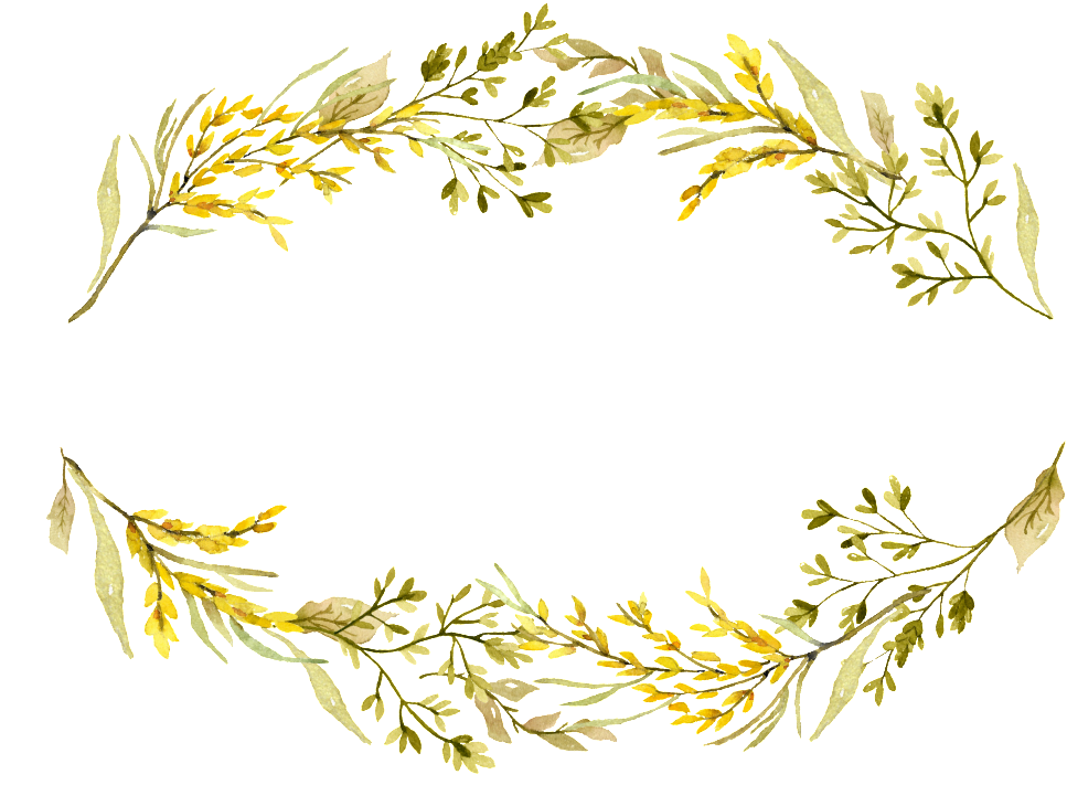 This Graphics Is Yellow Headline Flower Box Decoration - Portable Network Graphics (1024x765), Png Download