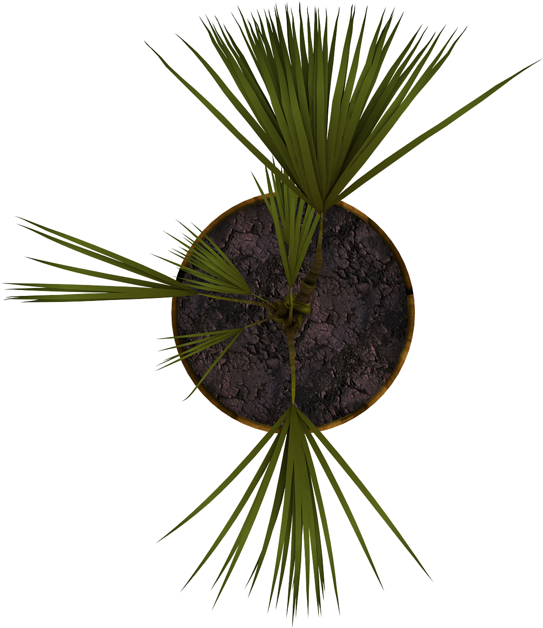 Planta06 - Directory (1500x1500), Png Download
