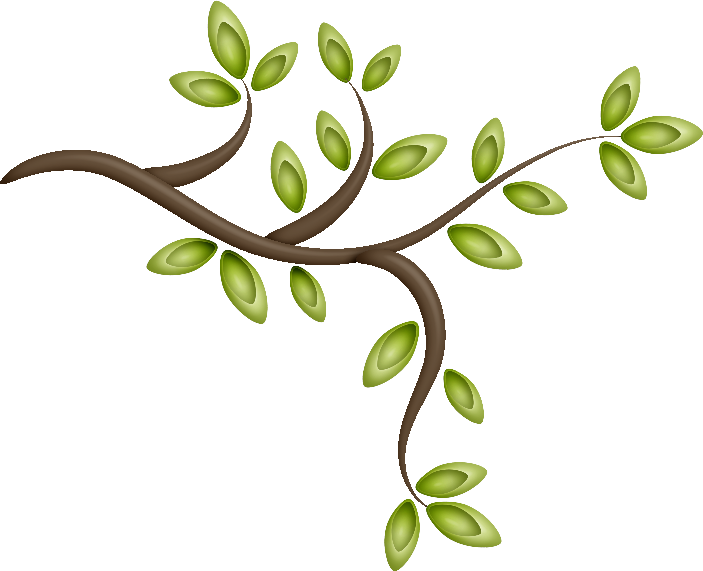 Marcos De Plantas Png - Marcos De Ramas De Arbol (703x571), Png Download