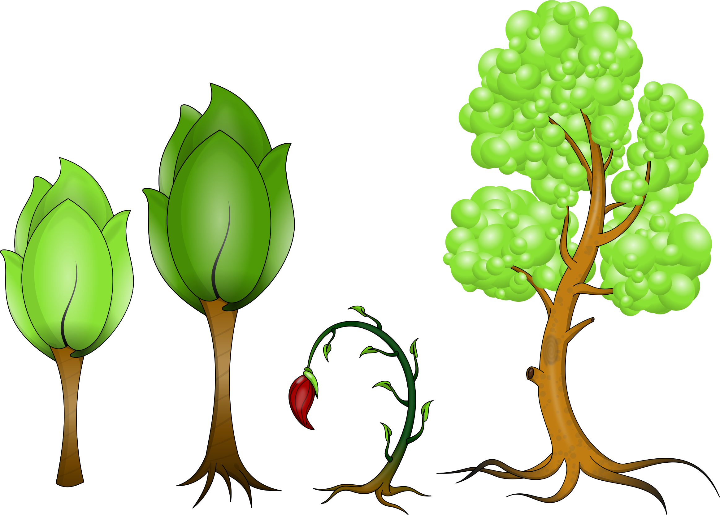 Plantas Png (2326x1664), Png Download