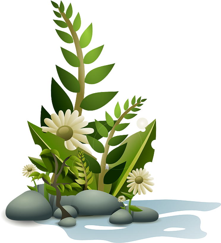Planta Em Png - Flower Vector Png (768x1024), Png Download