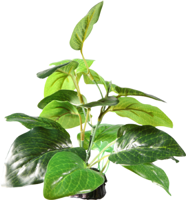 Esta Hermosa Planta Decorativa Fluval Aporta Un Aspecto - Fluval Artificial Plants Uk (400x400), Png Download