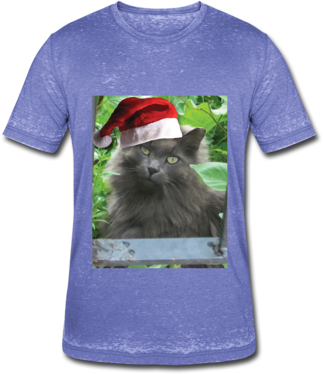 Adorable Russian Blue Cat Wearing A Santa Hat - Long Haired Russian Blue Cat Shower Curtain (800x800), Png Download