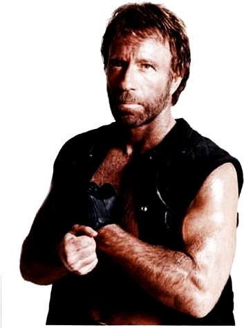 Chuck Norris Png - Chuck Norris (400x498), Png Download