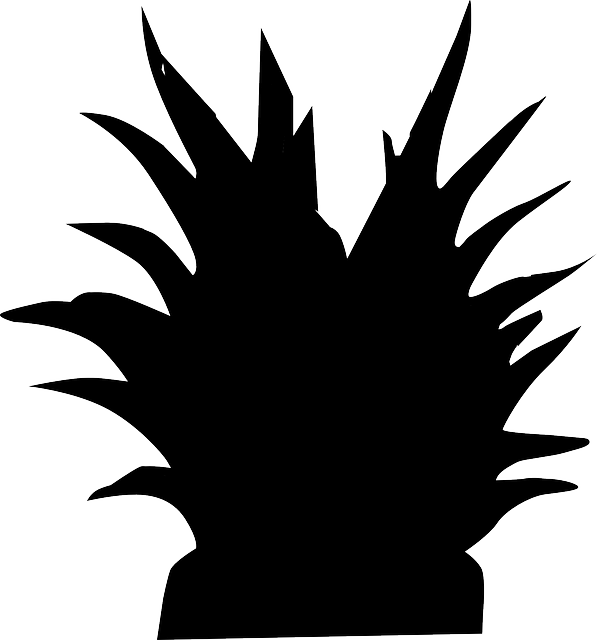 Black, Food, Silhouette, Wild, Plant - Siluetas De Plantas Png (597x640), Png Download
