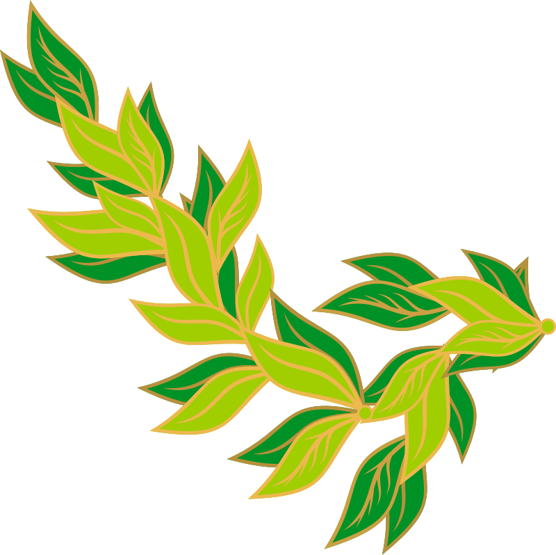 Medium Image - Leaf Border Clipart Png (800x798), Png Download