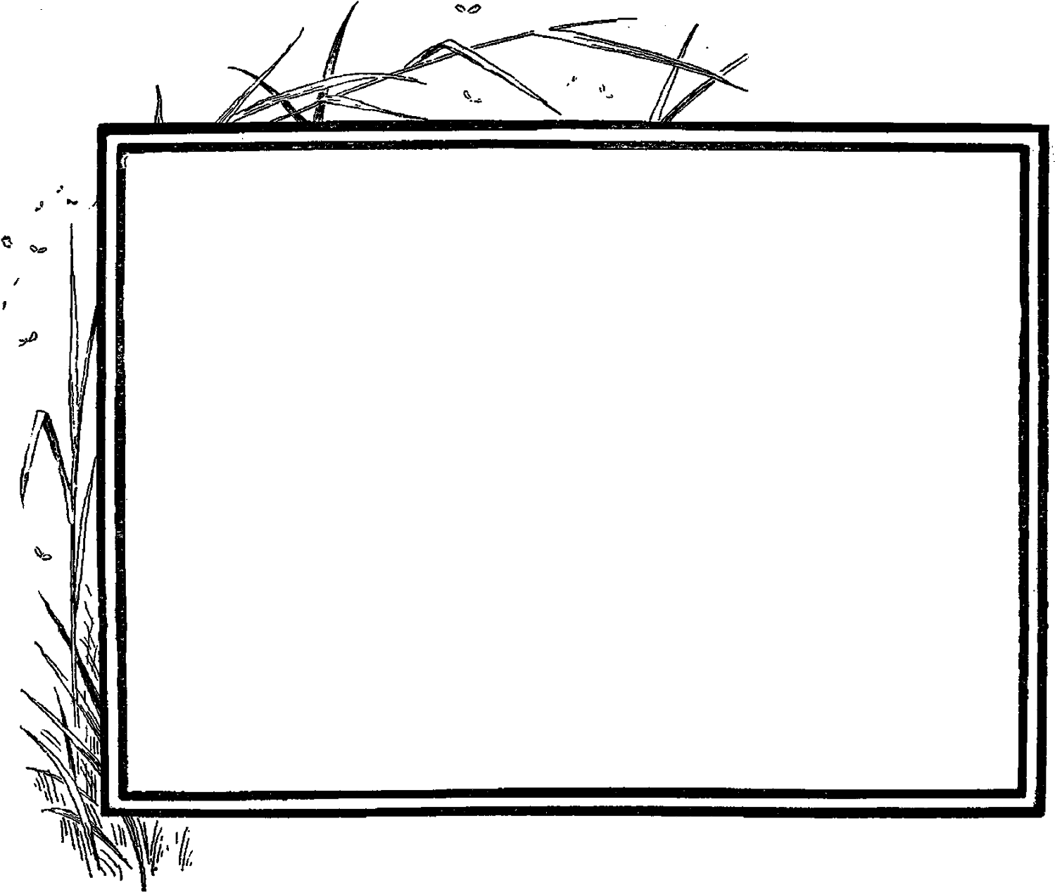 My Favorite Digital Frame Image Is The Third Frame - Simple Photo Borders (1600x1344), Png Download
