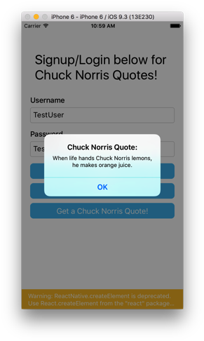 Chuck Norris Quote - Utility Software (300x493), Png Download
