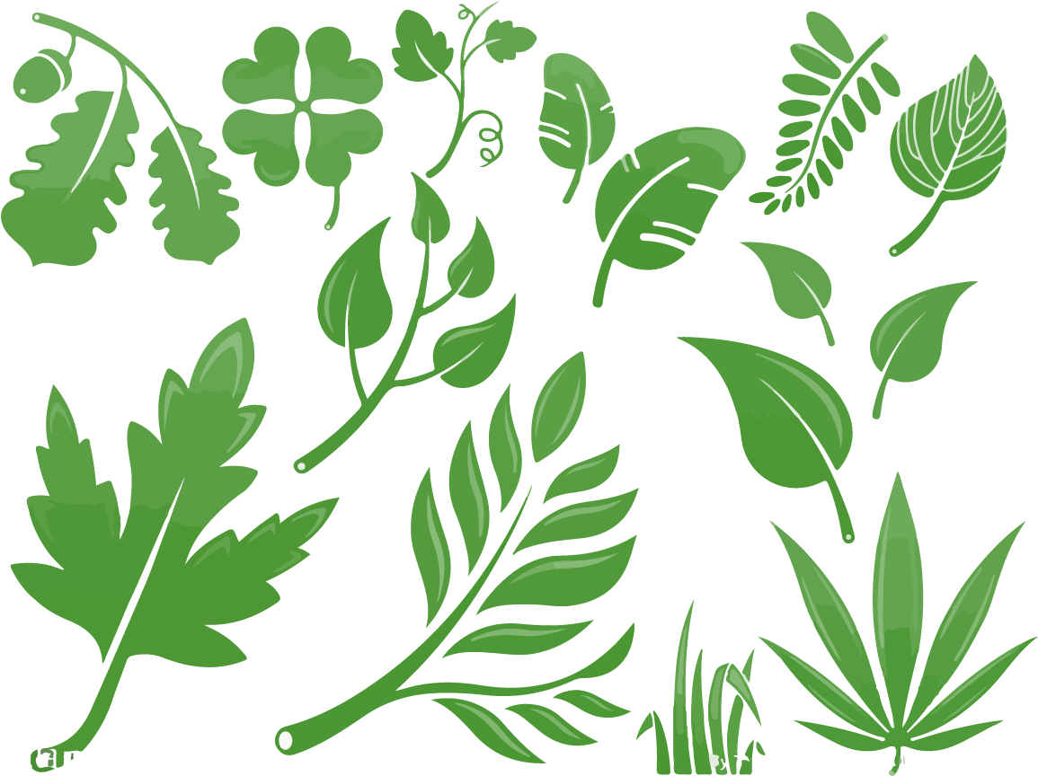 Ilustraciones Ilustradas De Hojas De Vectores Para - Illustration (1200x1200), Png Download