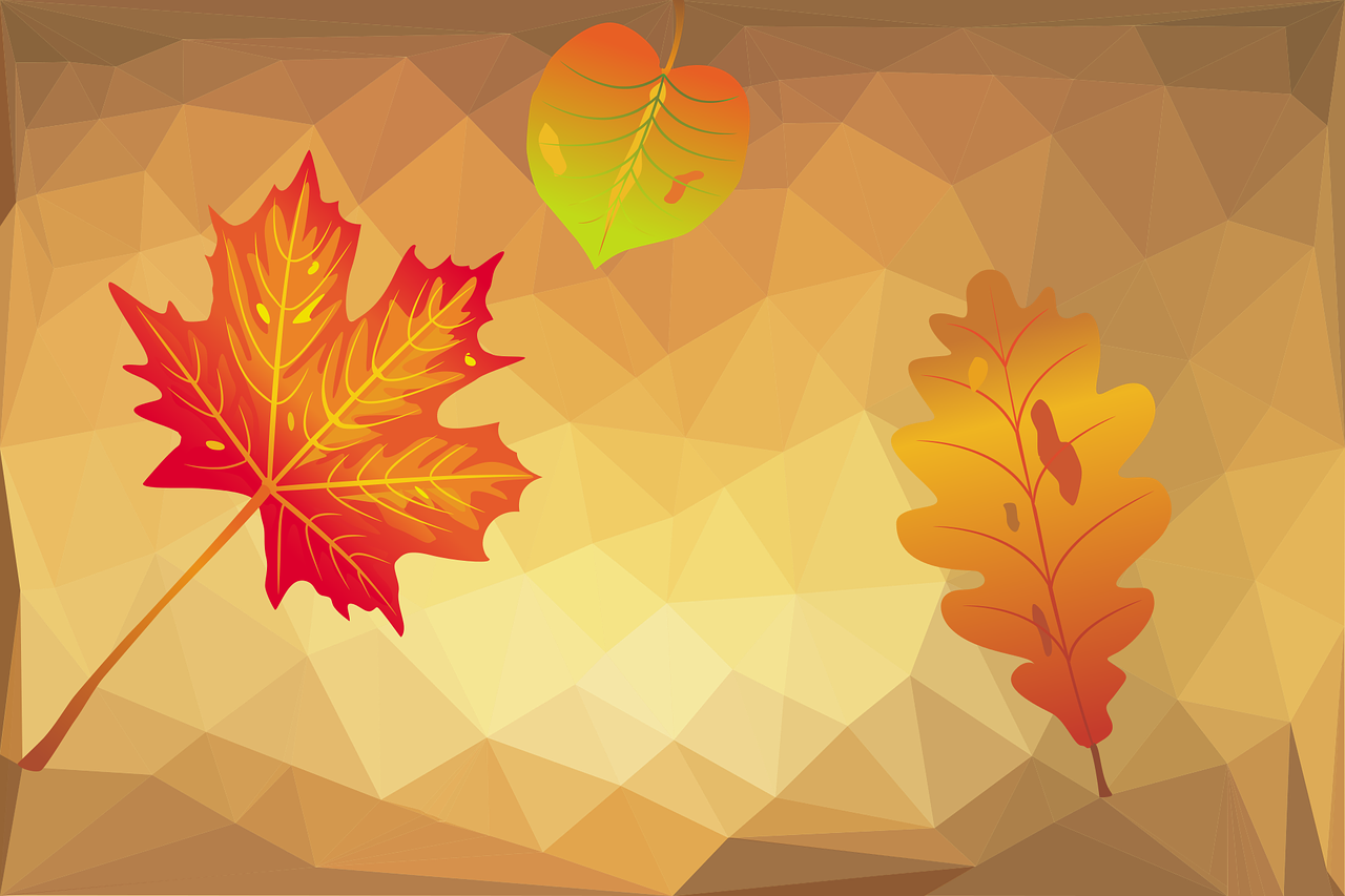 Autumn Leaf Polygonal - Quien Amas Dale Alas Para Volar Raices Para Volver (1280x853), Png Download