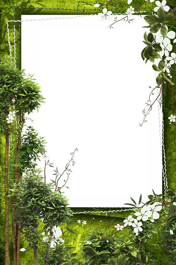 Find This Pin And More On Border By Nanalosh - Picture Frame (600x900), Png Download