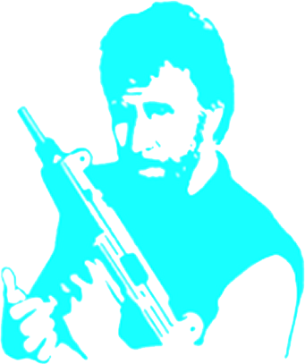 Share This Image - Bitcoin Chuck Norris (341x407), Png Download