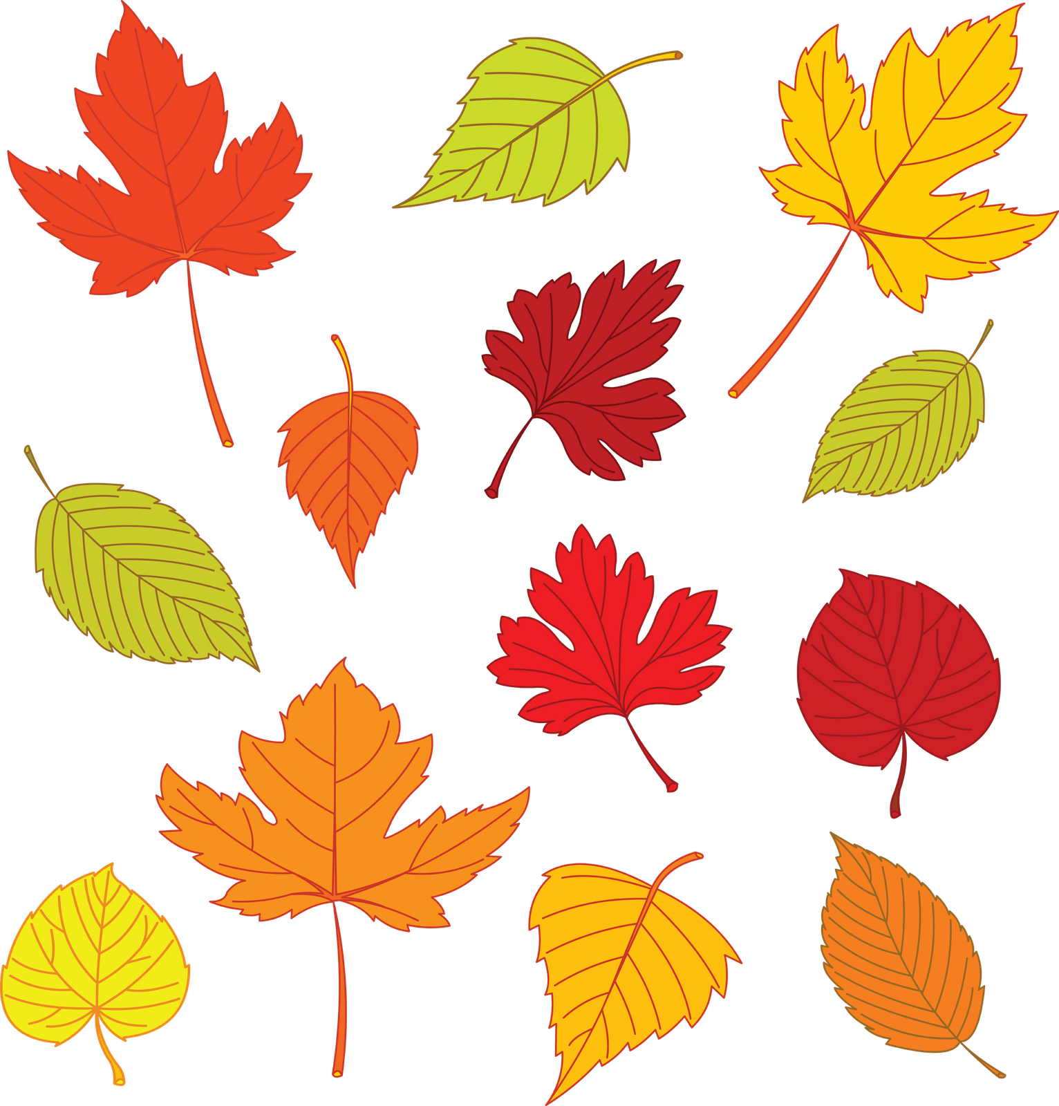 Leaf Drawing Template At Getdrawings - Autumn Leaves Clipart (1532x1600), Png Download