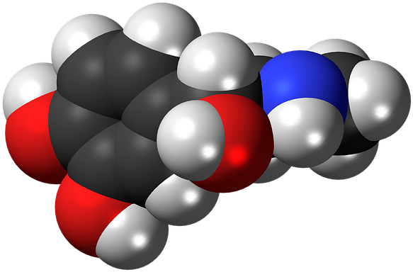 Chuck Norris Network Marketing - Hormona De La Adrenalina (640x441), Png Download