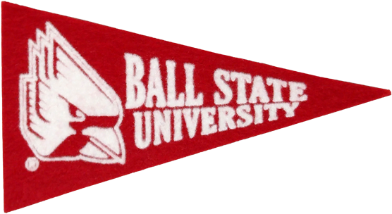 Cover Image For Magnet, Pennant - College Or Career Pennant (570x570), Png Download