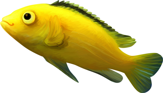 White Fish Clipart Png, Yellow Fish Clipart, Yellow - Cliparts Fishs Colour Png (640x366), Png Download