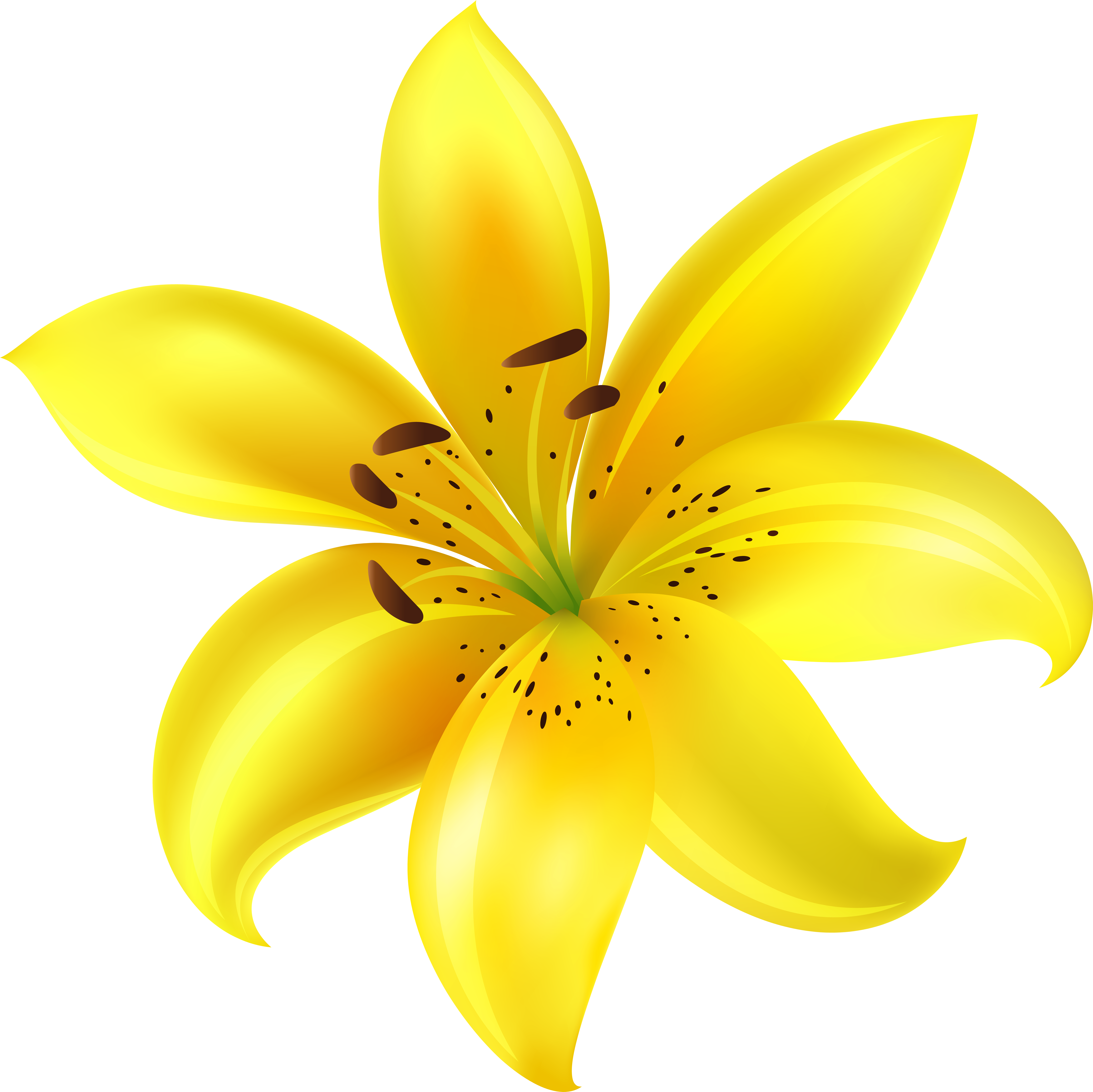 Yellow Flower Png (8000x7994), Png Download