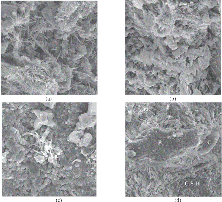 Scanning Electron Morphology Of Blended Concrete Immersion - Transmission Electron Microscopy (850x691), Png Download