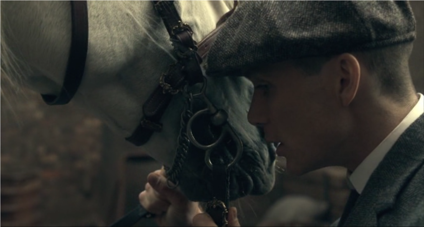 Tommy&horse1 - Peaky Blinders Tommy And Horse (1440x900), Png Download