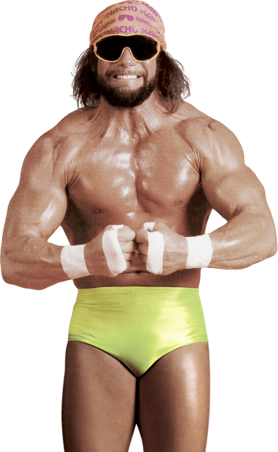 Randy Macho Man Savage - Macho Man Randy Savage Png (393x639), Png Download