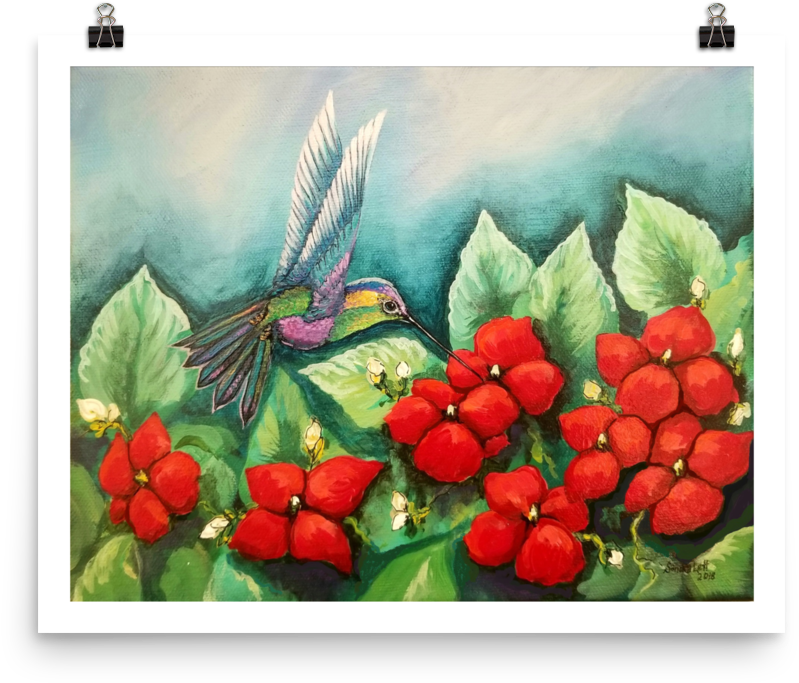 Humming Impatiens, Print On Premium Luster Photo Paper - Touch-me-not (1000x1000), Png Download