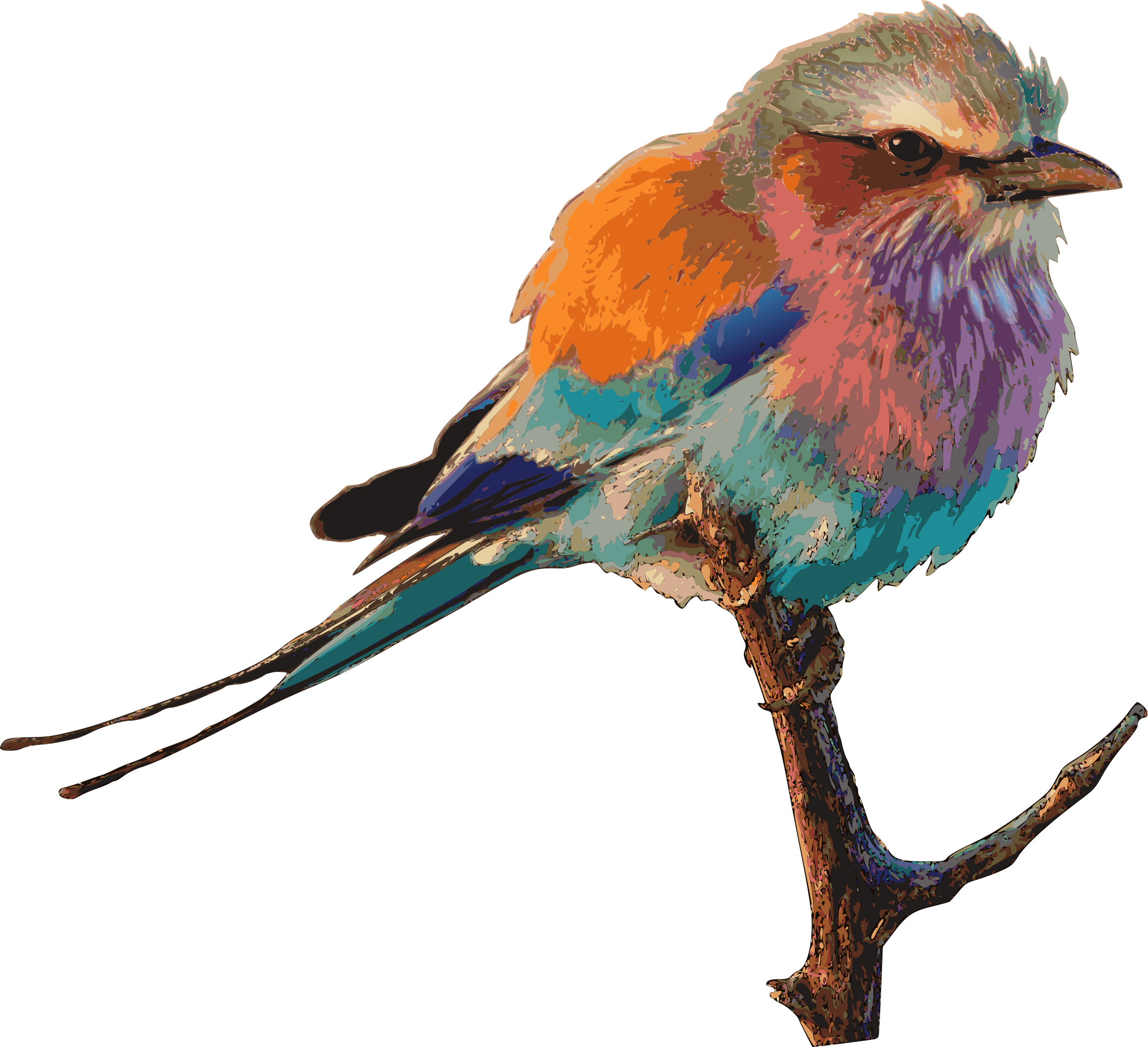 Big Image - Lilac Breasted Roller Bird Clipart (2400x2188), Png Download