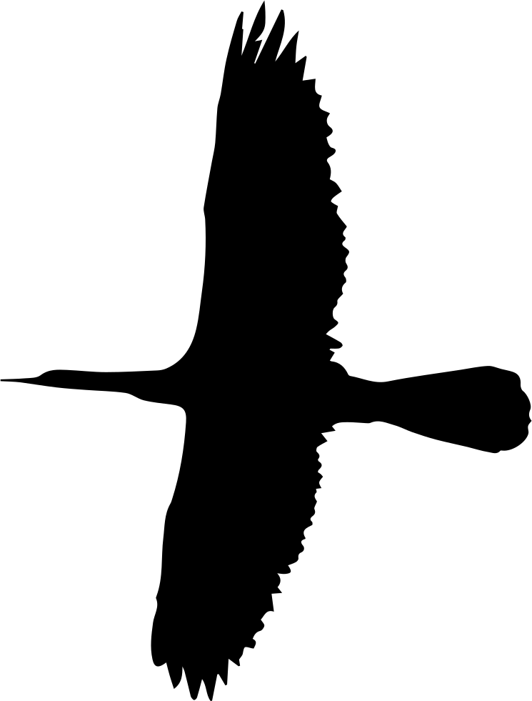 Flying Big Bird Shape Comments - Grande Pássaro (745x981), Png Download