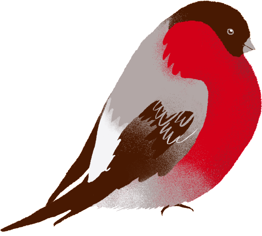 The Bird Png Transparent Vivid Hand Painted Lifelike - Vector Graphics (1024x984), Png Download