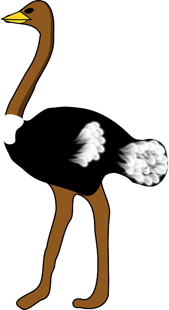 Large, Cartoon, Big, Bird, Stand, Cute, Ostrich, Animal - Ostrich Clipart (349x640), Png Download