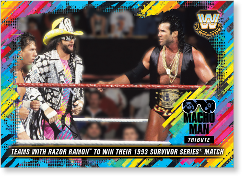 Close Zoom - Survivor Series (1993) (1440x975), Png Download