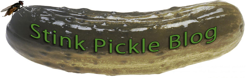 Dill Pickle Pillow Case (800x275), Png Download