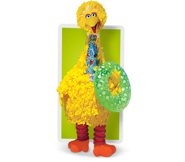 Bird Watching With Big Bird - Illustration (594x521), Png Download