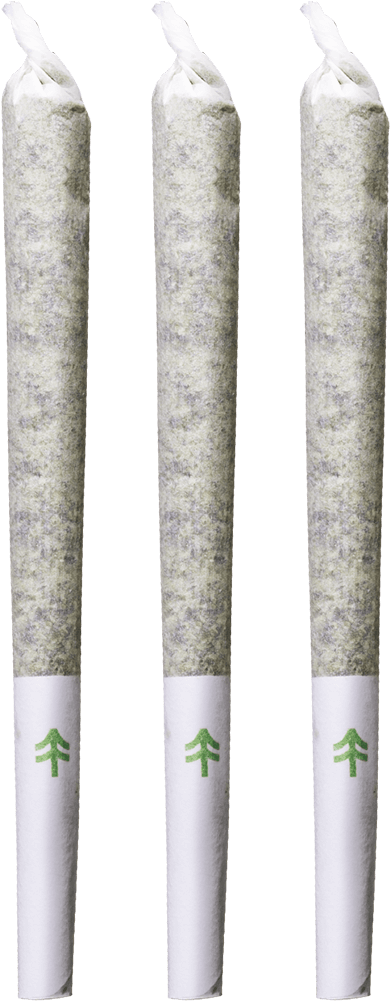 Widest Widest - Wood (530x1000), Png Download