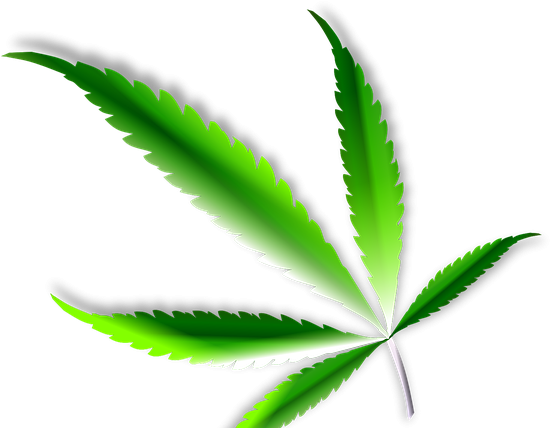 Where To Buy Marijuana In Portland Oregon - Illustration (723x433), Png Download