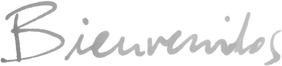 Bienvenidos - Calligraphy (1000x308), Png Download
