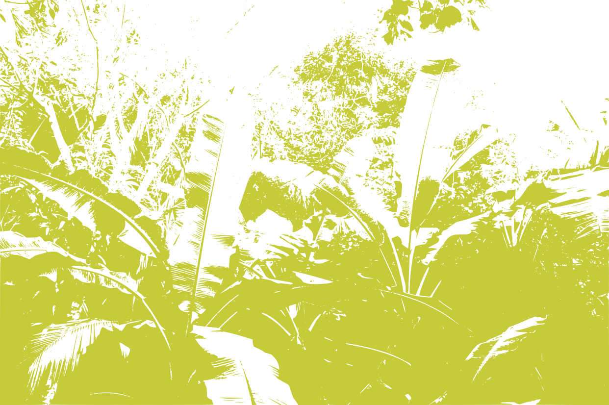 The The Foliage Changes To A Small, One Mile Wide Plain - Illustration (1242x826), Png Download