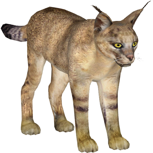 Jungle Cat - Cat (520x520), Png Download