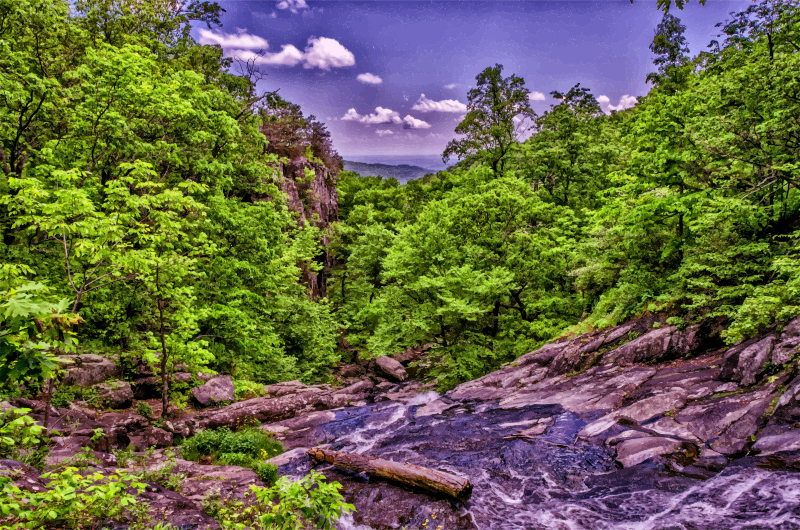 Medium Image (800x530), Png Download