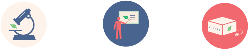 Jungle Prop-01 - Circle (1000x707), Png Download