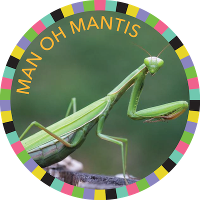 Man Oh Mantis Image - Praying Mantises (400x400), Png Download