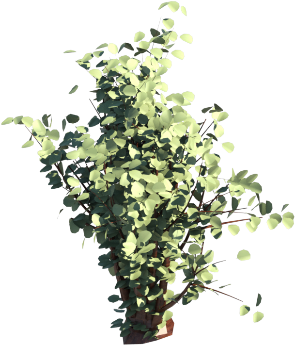 Anterior Siguiente - Shrub (1000x930), Png Download