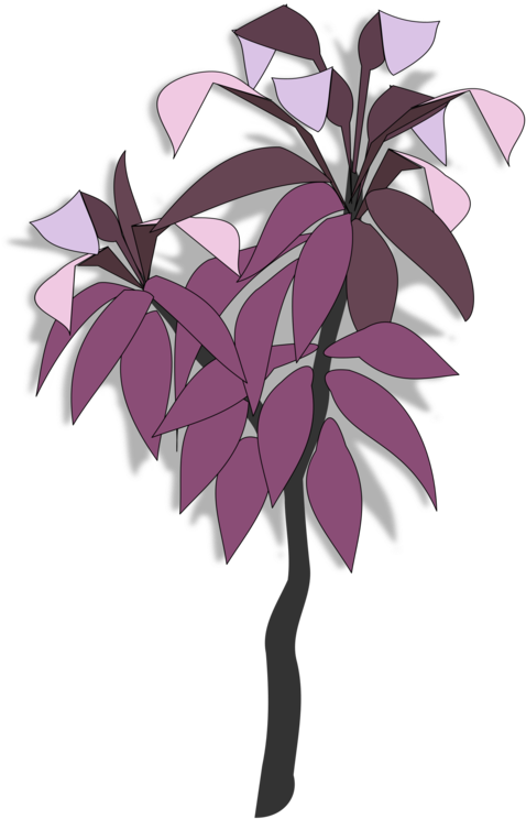 Common Grape Vine Leaf Plants Drawing Branch - Clip Art (750x750), Png Download
