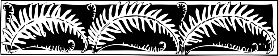 Stylized Fern Clipart Fern Clip Art - Clip Art (900x182), Png Download