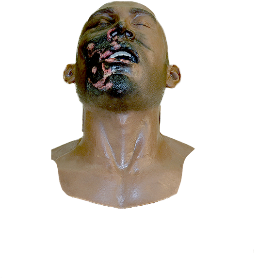 Face Skins - Bust (1200x797), Png Download