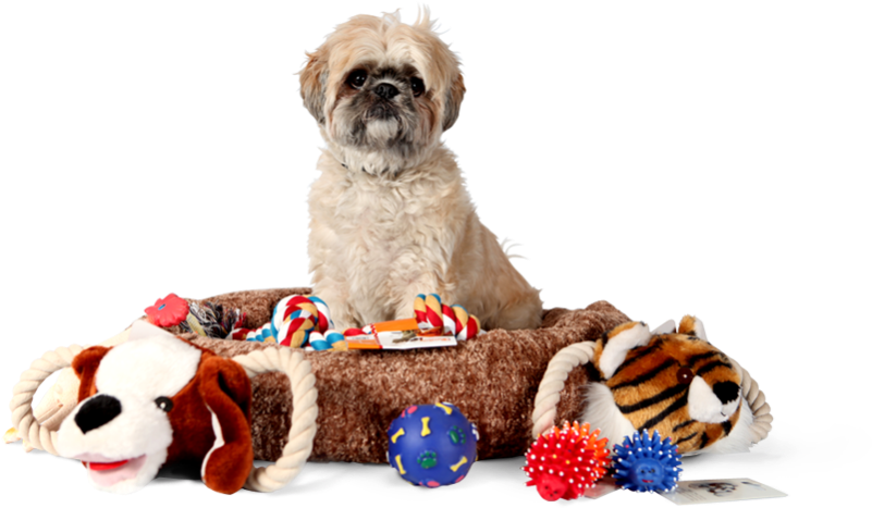 Parent Directory - Pet Supplies (800x473), Png Download