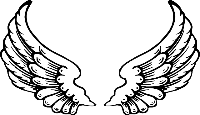 Free Image On Pixabay - Printable Lps Angel Wings (640x367), Png Download