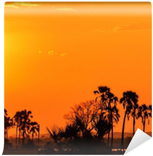 Orange Glow Sunset In A Palm Trees Landscape Wall Mural - Sunset (400x400), Png Download