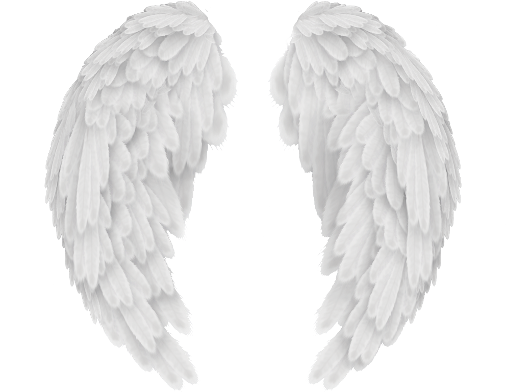Angels In America Wings - Angel Wings Png Transparent (1000x767), Png Download