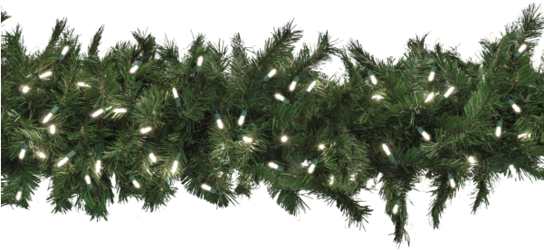9′ Taiga Evergreen® Garland With 150 Led Lights - Shortleaf Black Spruce (600x400), Png Download